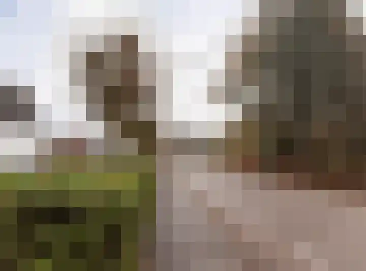 Laguitensebaan 52 Rijsbergen thumbnail 68