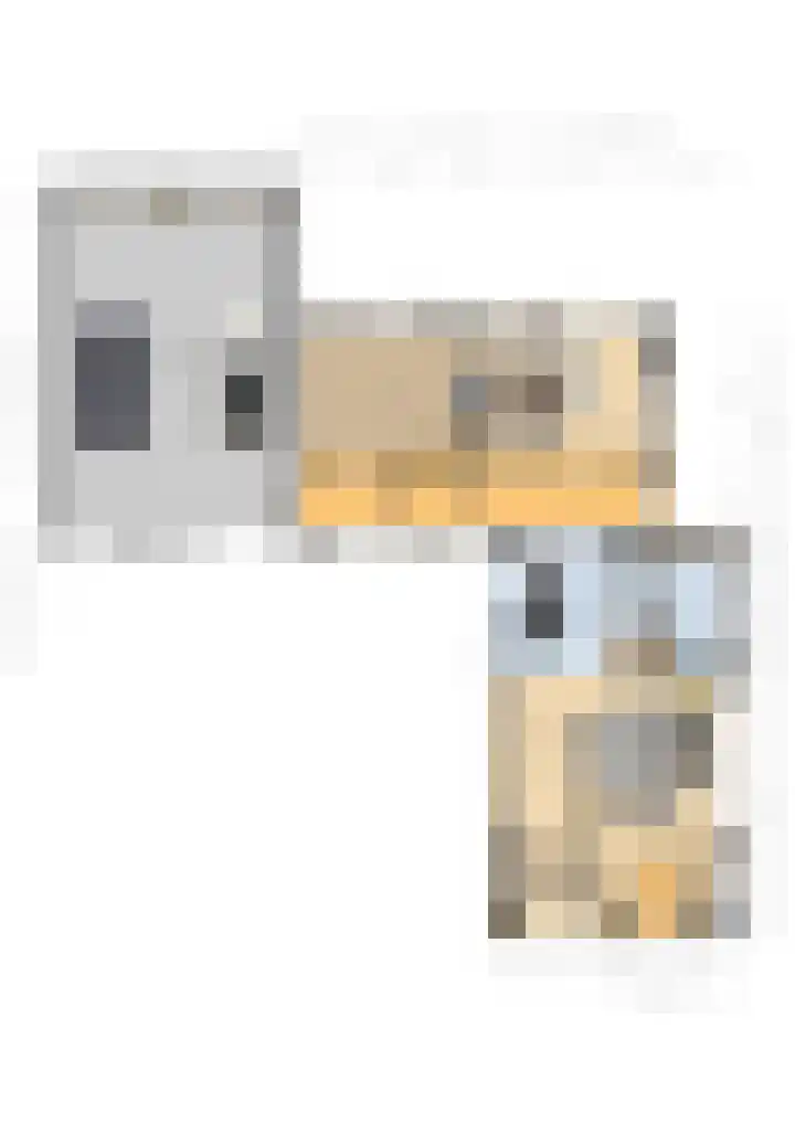 Laguitensebaan 52 Rijsbergen thumbnail 69