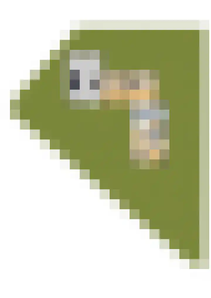 Laguitensebaan 52 Rijsbergen thumbnail 73
