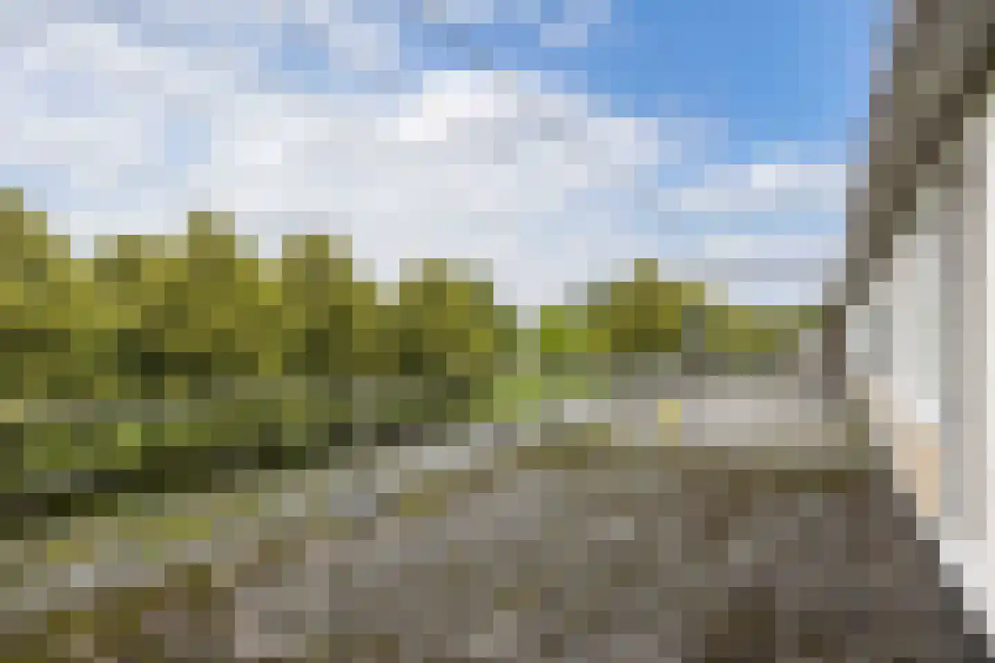 Lagune 16 Lelystad thumbnail 35