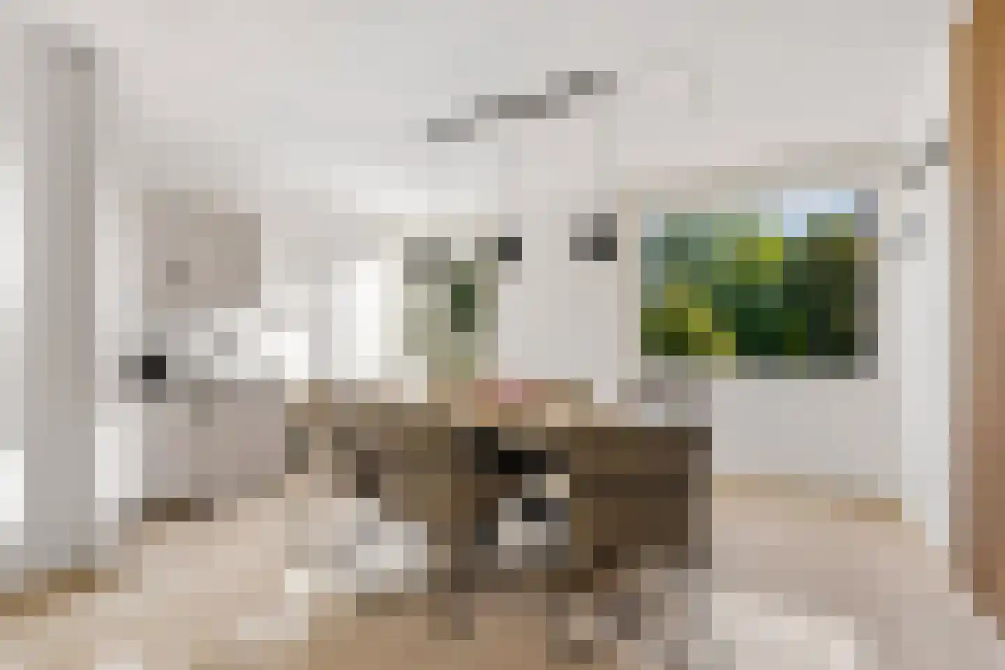 Lagune 64 Lelystad thumbnail 16