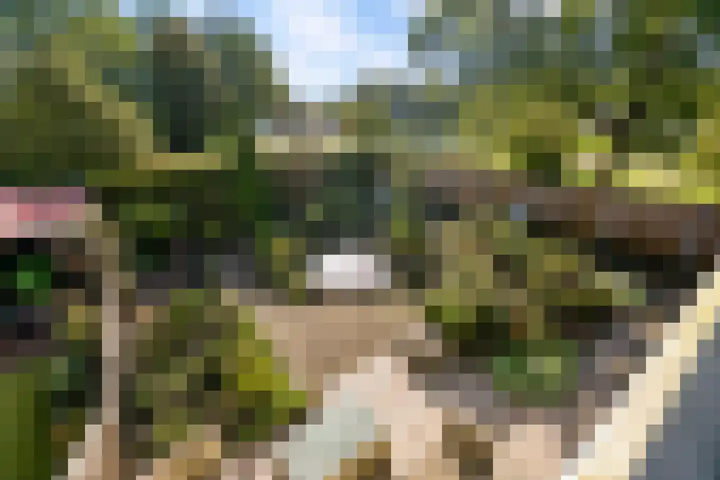 Lagune 64 Lelystad thumbnail 22