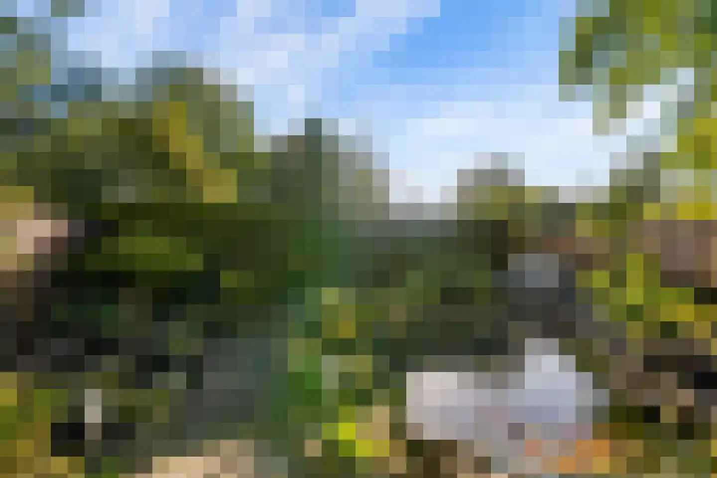 Lagune 64 Lelystad thumbnail 36