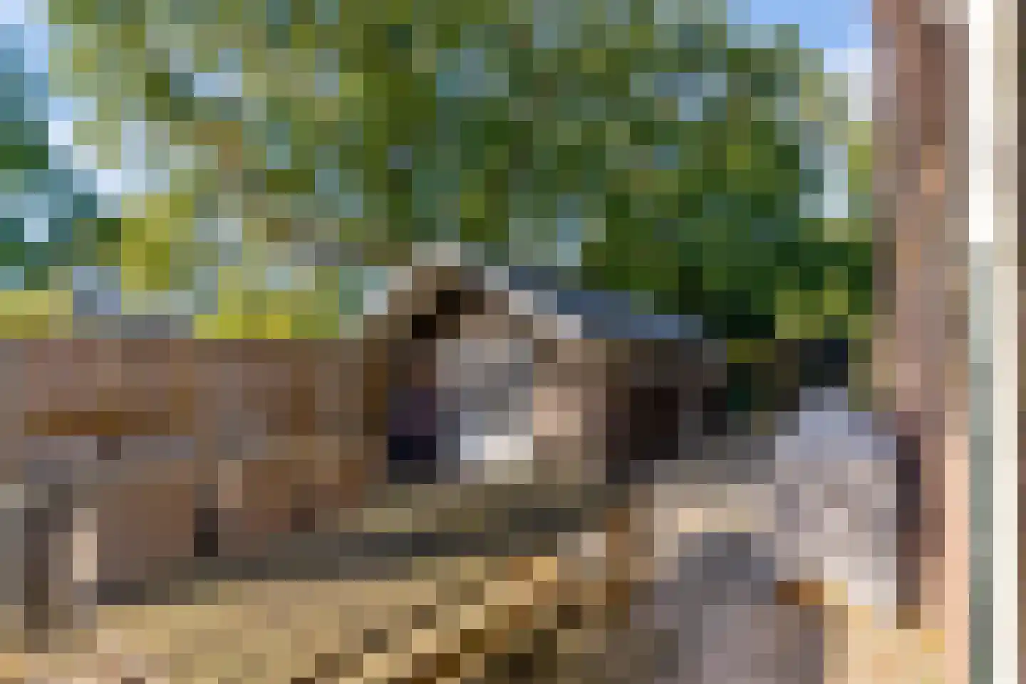 Lagune 64 Lelystad thumbnail 38