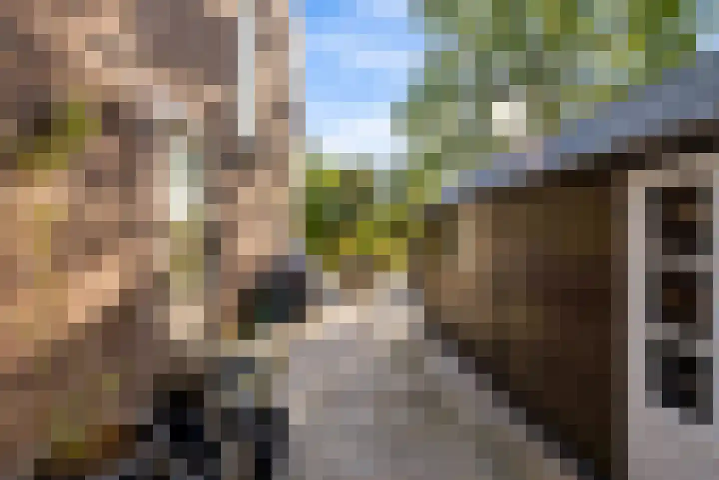 Lagune 64 Lelystad thumbnail 39