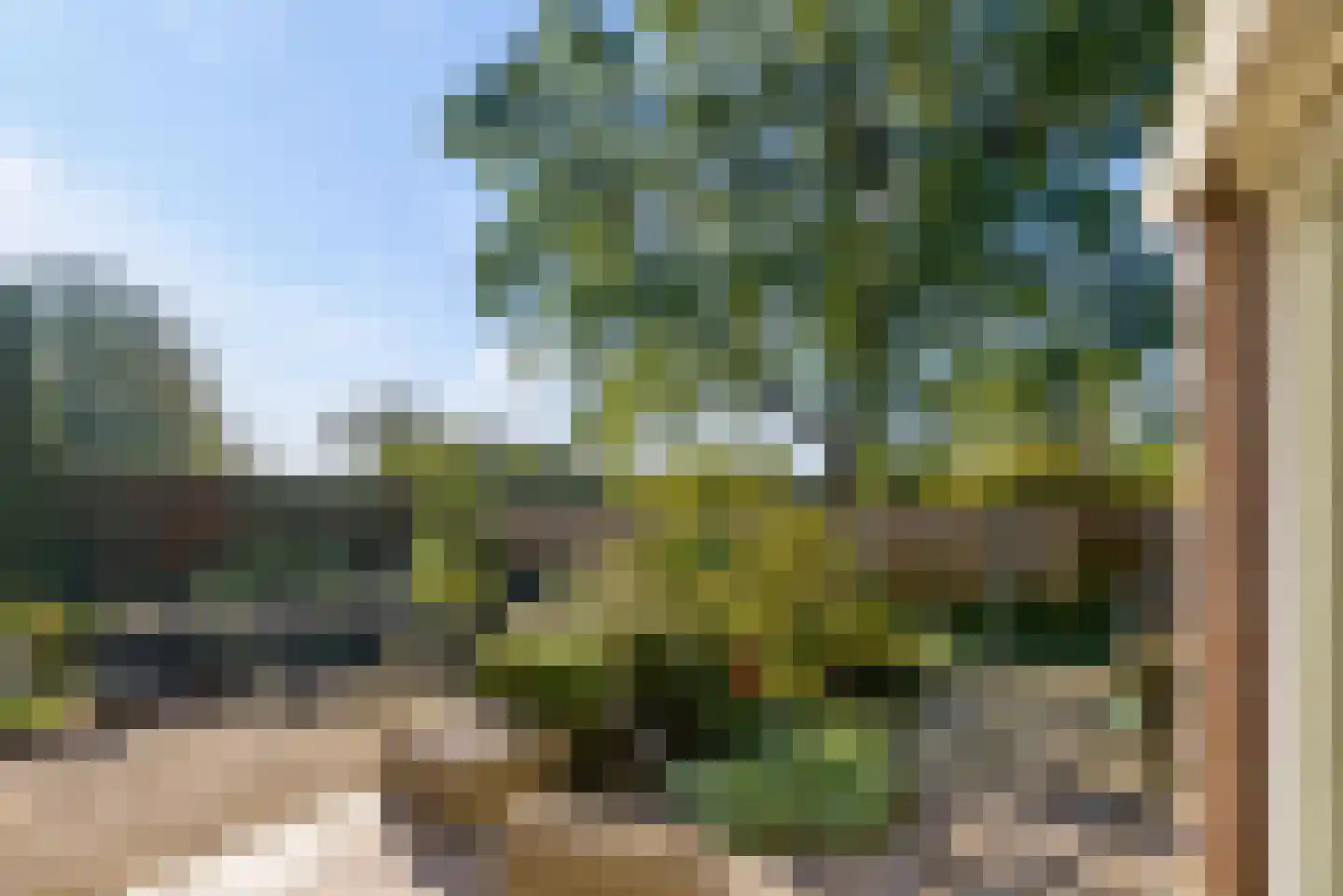 Lagune 64 Lelystad thumbnail 4