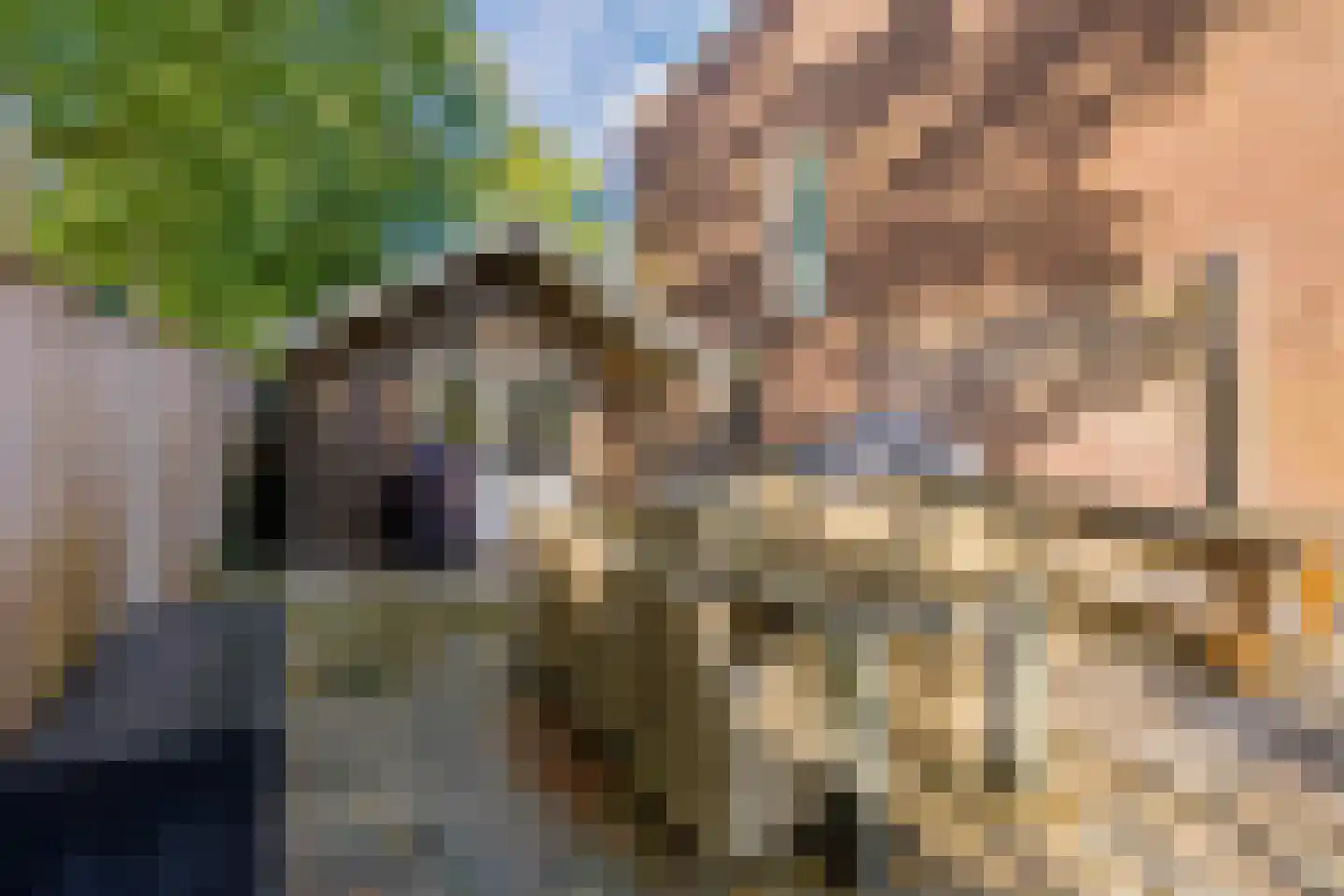 Lagune 64 Lelystad thumbnail 40