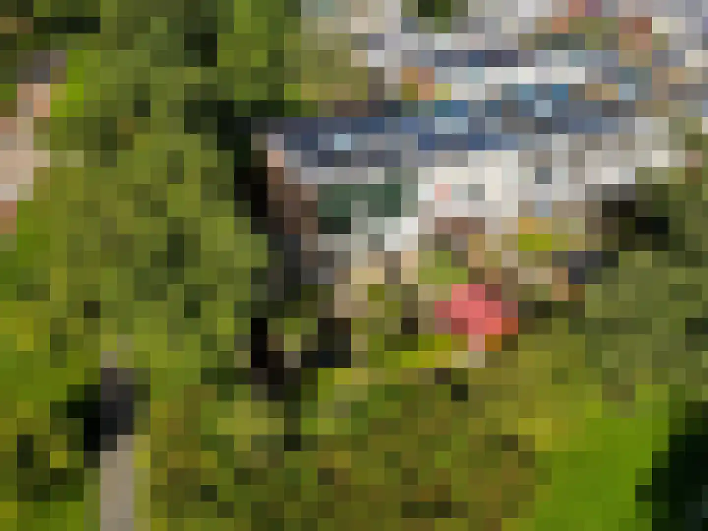 Lagune 64 Lelystad thumbnail 5