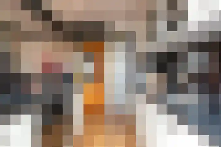 Lagune 66 Lelystad thumbnail 13