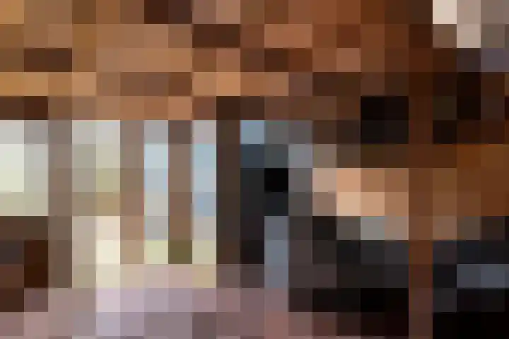 Lagune 66 Lelystad thumbnail 34