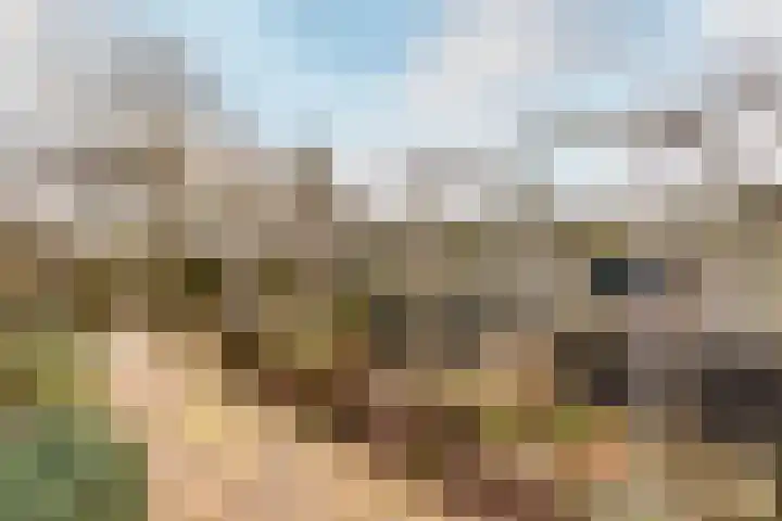 Lagune 66 Lelystad thumbnail 36