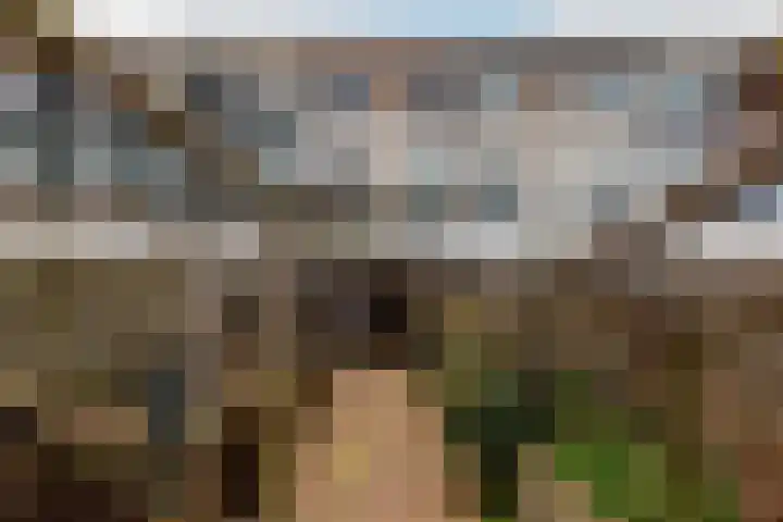Lagune 66 Lelystad thumbnail 37
