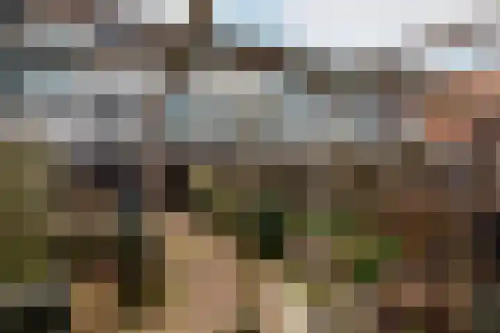 Lagune 66 Lelystad thumbnail 38
