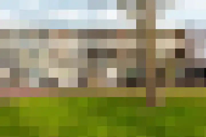 Lagune 66 Lelystad thumbnail 42