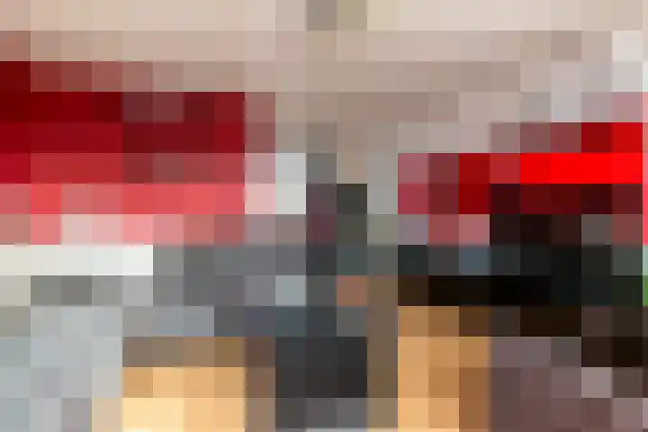 Lagune 66 Lelystad thumbnail 5