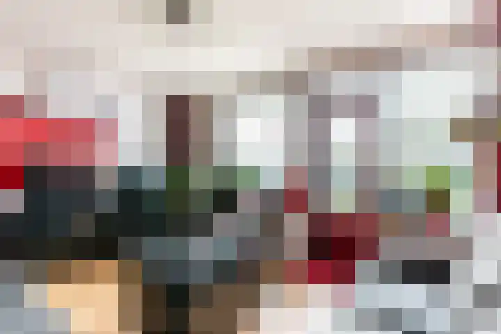 Lagune 66 Lelystad thumbnail 6