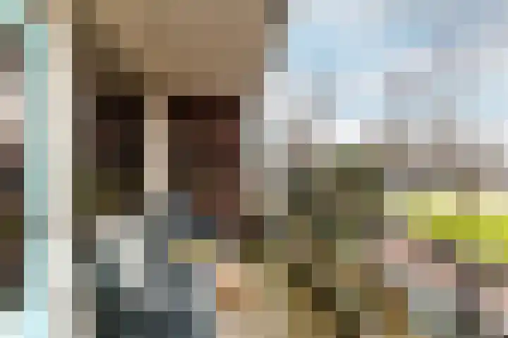 Lagune 66 Lelystad thumbnail 7