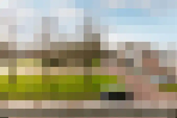 Lagune 66 Lelystad thumbnail 9