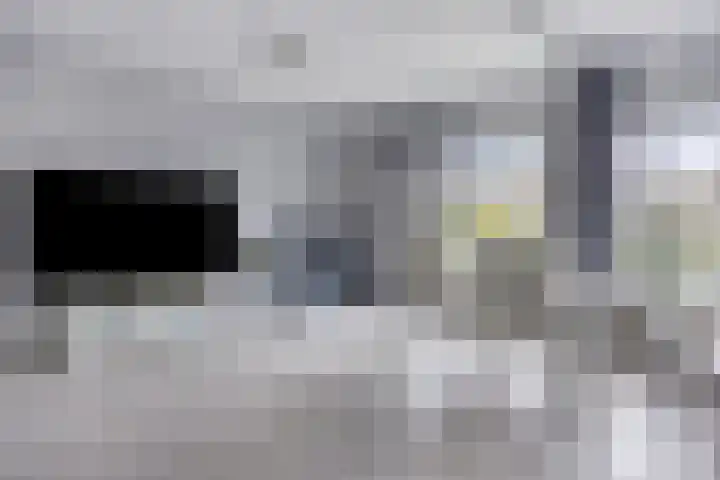 Lagune 7 Lelystad thumbnail 11