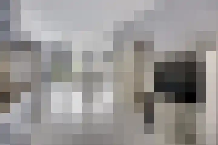 Lagune 7 Lelystad thumbnail 13