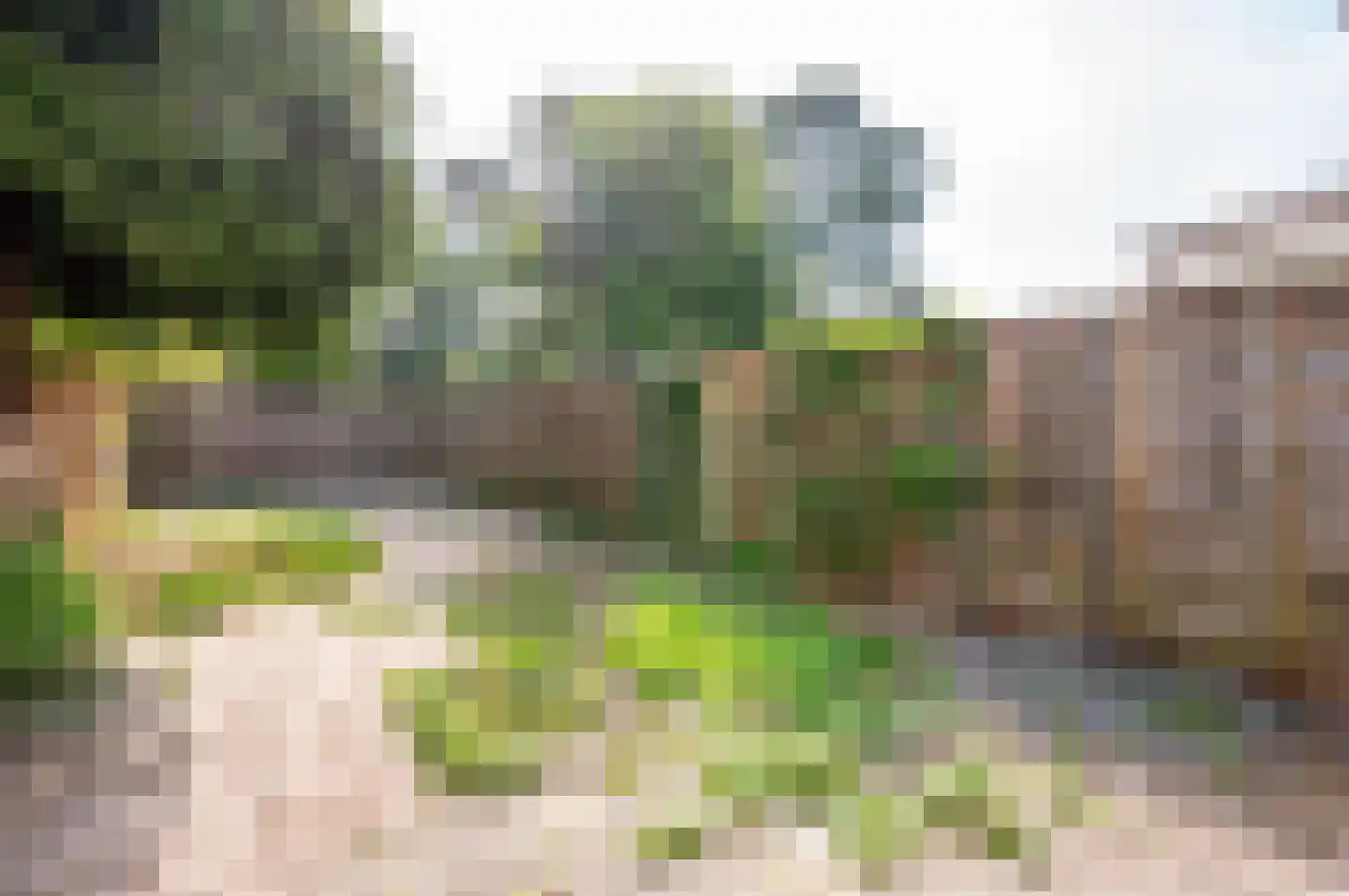 Lagune 71 Lelystad thumbnail 35