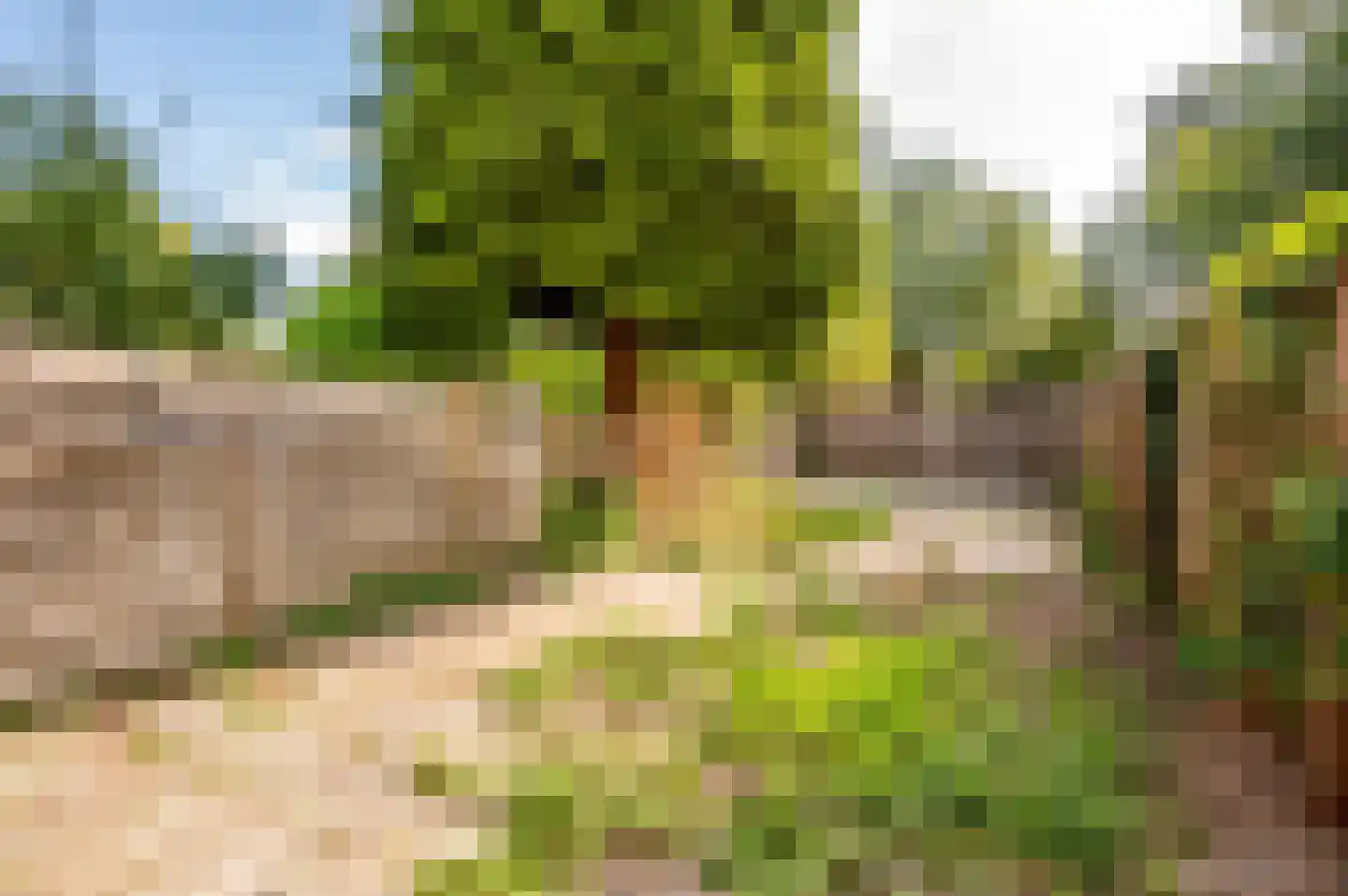 Lagune 71 Lelystad thumbnail 36