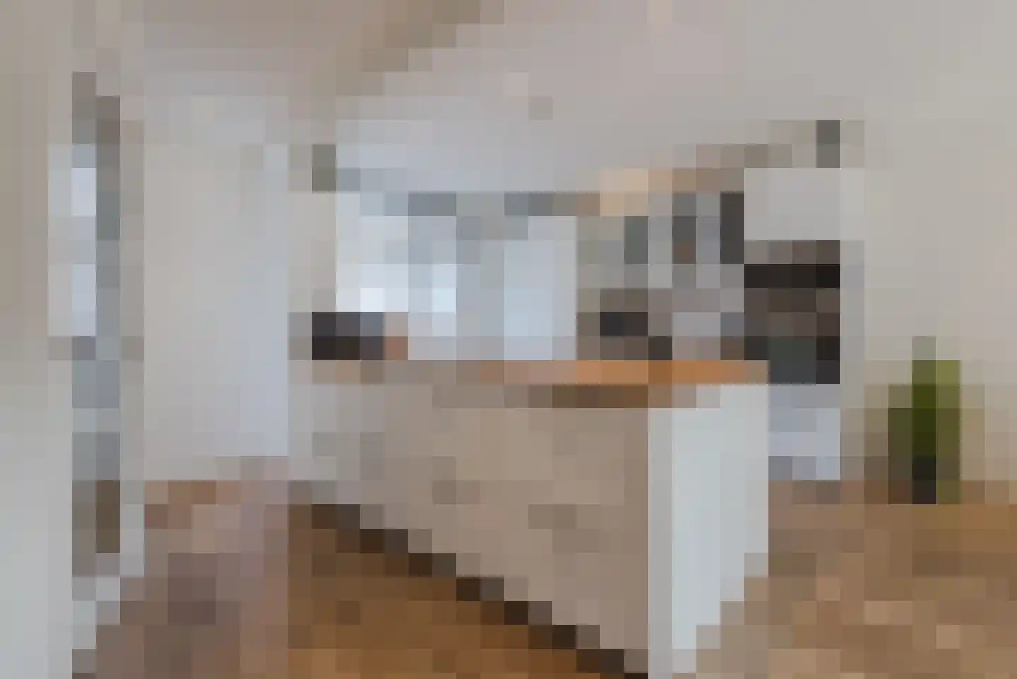 Lagune 80 Lelystad thumbnail 4