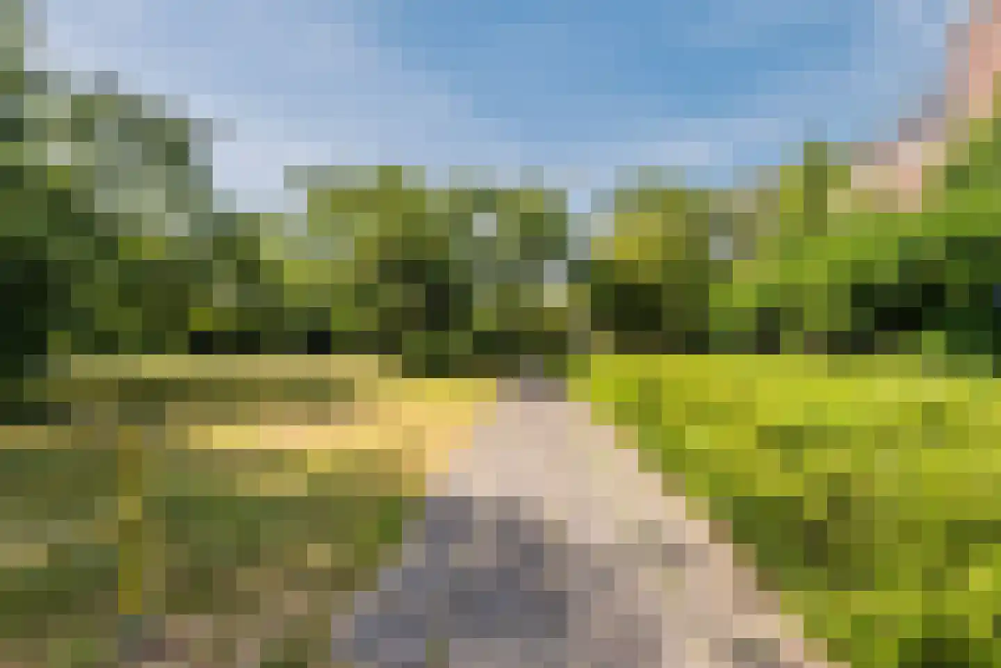 Lagune 80 Lelystad thumbnail 42