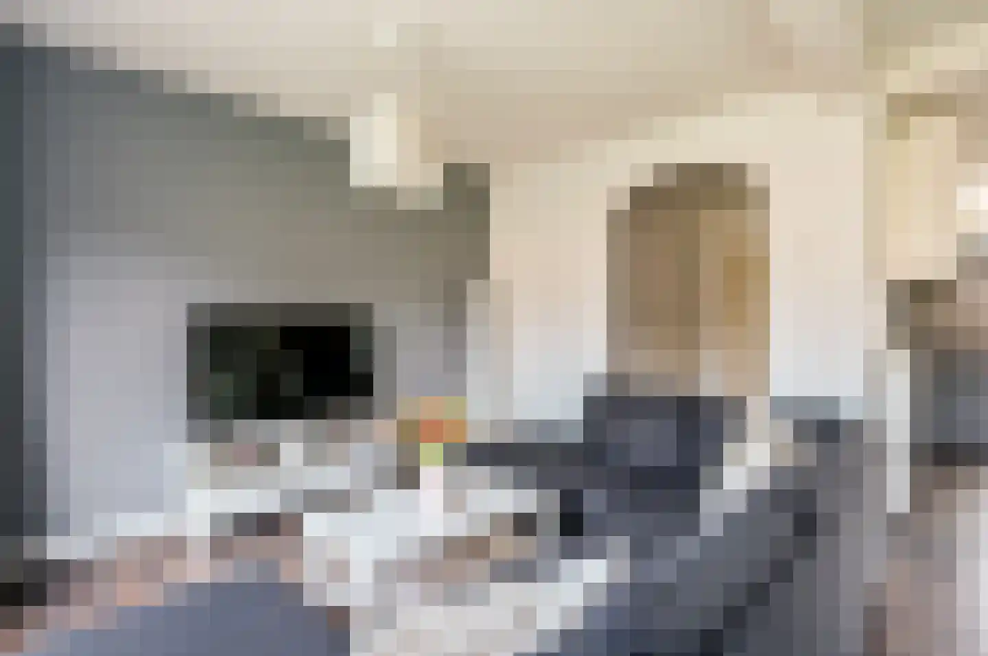 Lagune 96 Lelystad thumbnail 13