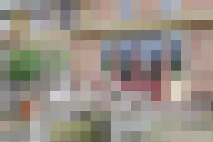 Lagunesingel 52 Beuningen Gld thumbnail 28