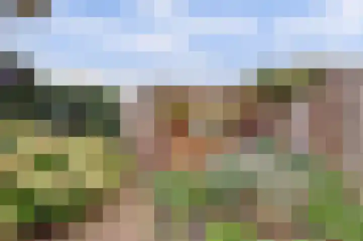 Lagunesingel 52 Beuningen Gld thumbnail 31