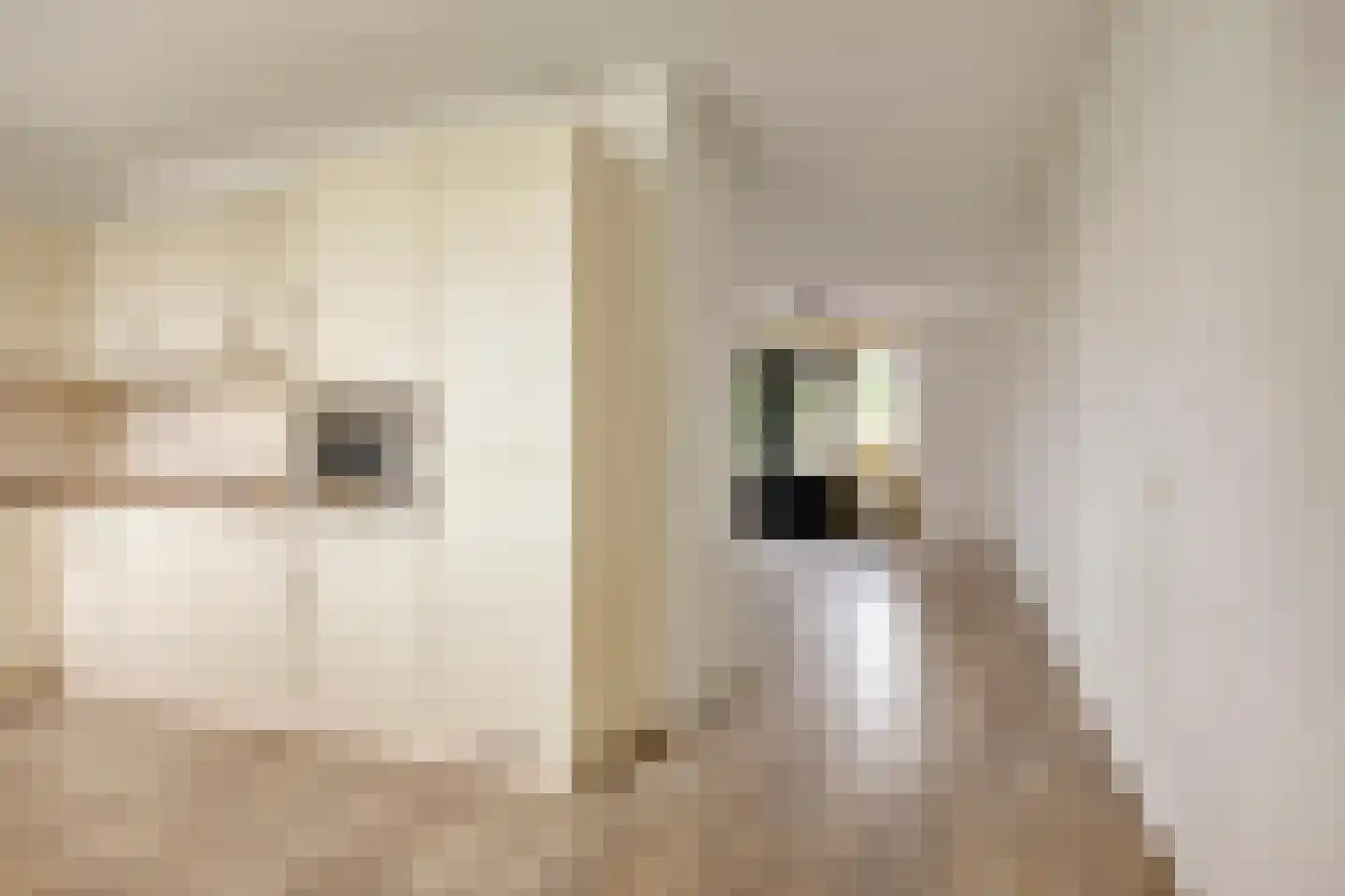 Lagunesingel 8 Beuningen Gld thumbnail 14