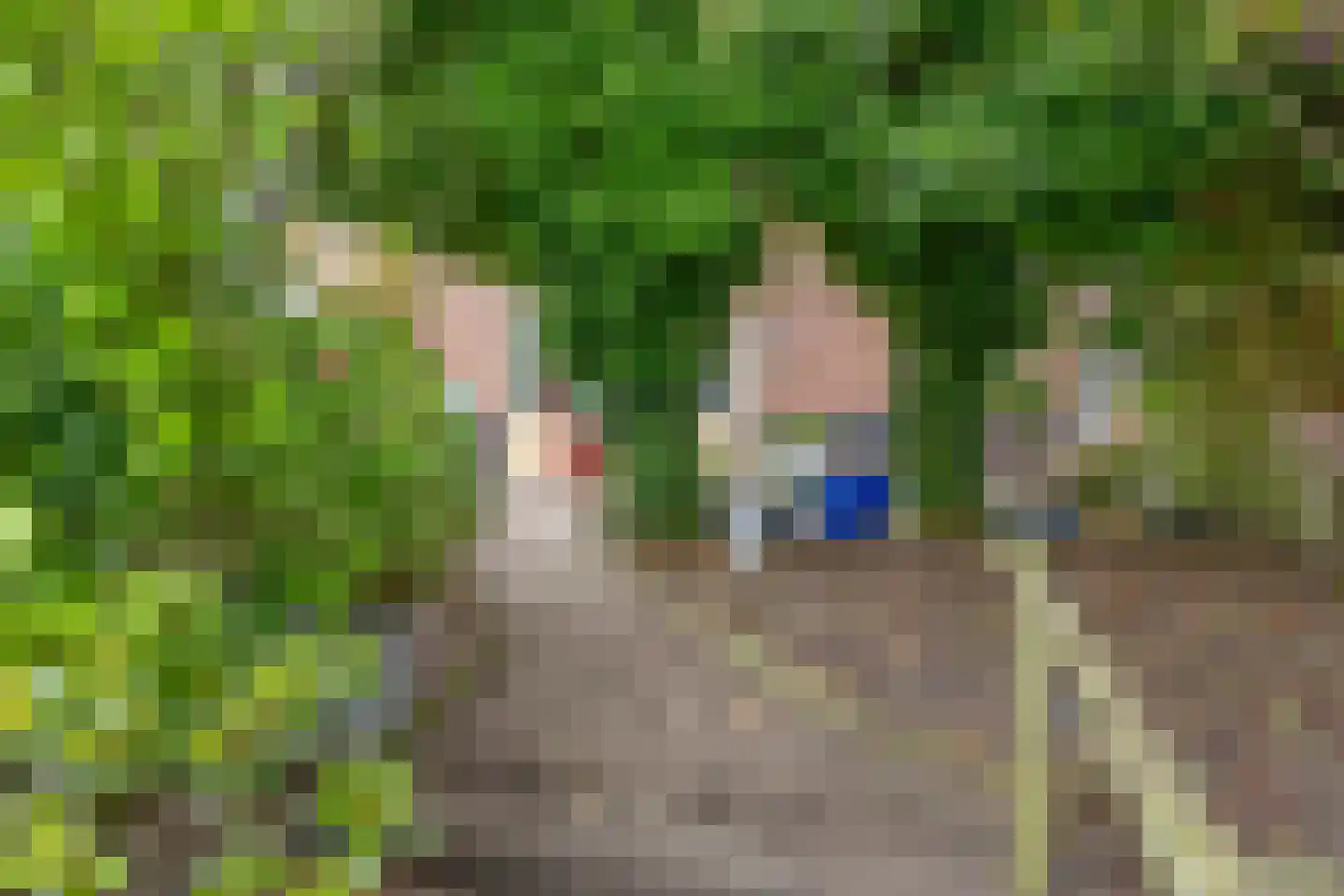 Lagunesingel 8 Beuningen Gld thumbnail 34