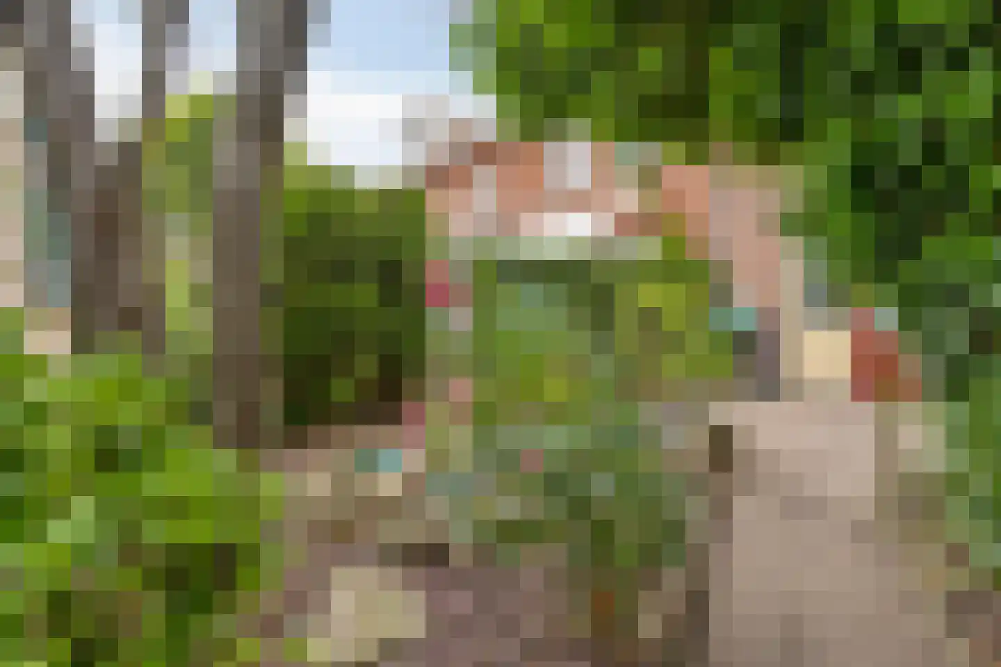 Lagunesingel 8 Beuningen Gld thumbnail 35