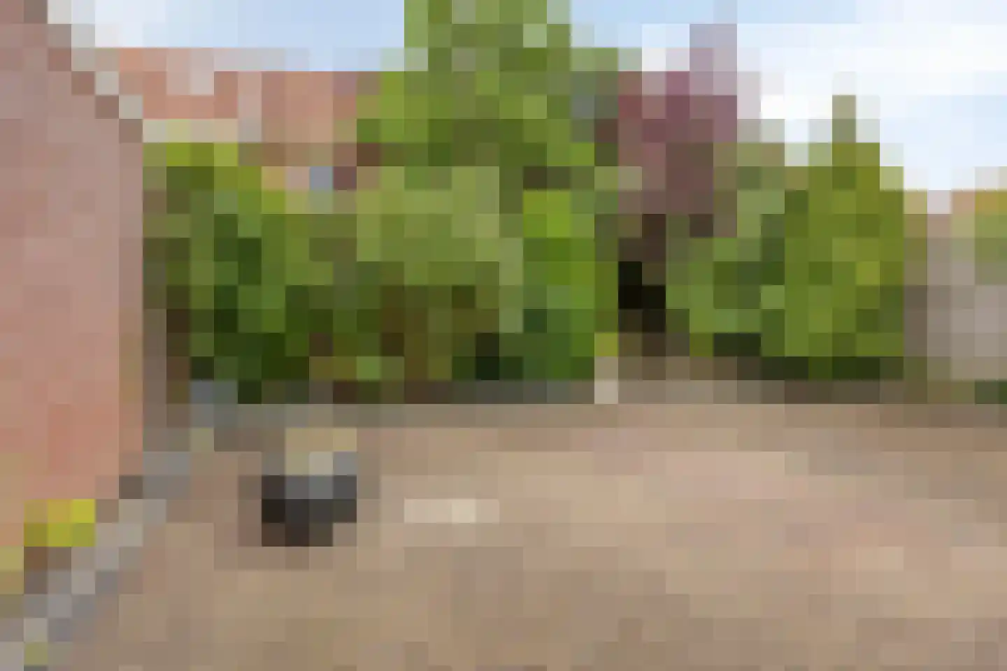 Lagunesingel 8 Beuningen Gld thumbnail 37