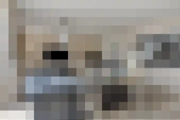 Lagunesingel 86 Beuningen Gld thumbnail 13