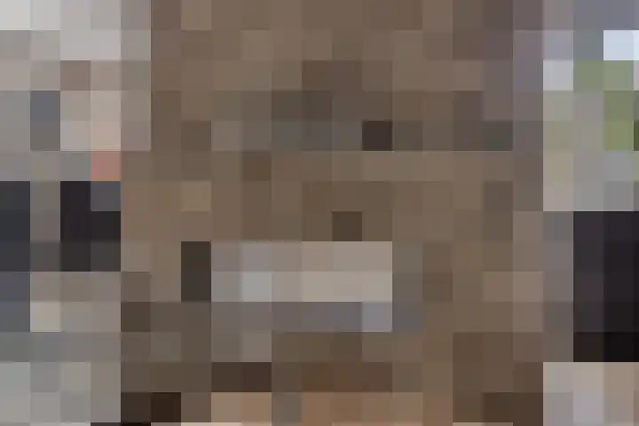 Lagunesingel 86 Beuningen Gld thumbnail 15