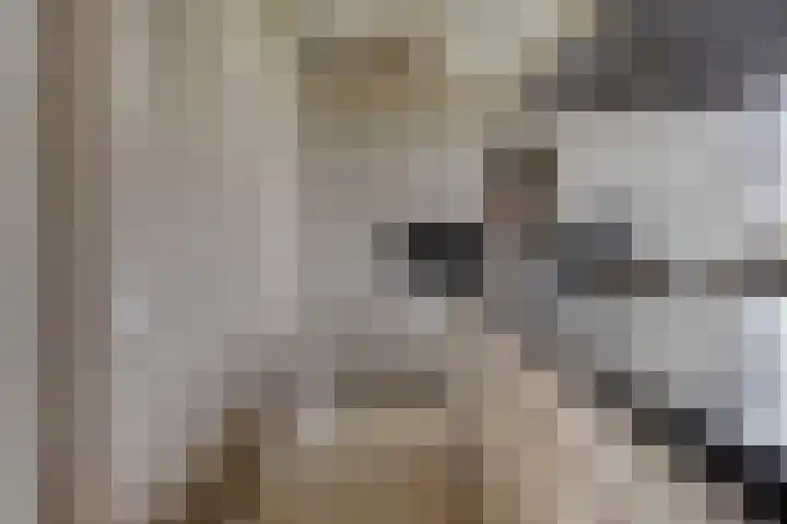 Lagunesingel 86 Beuningen Gld thumbnail 22