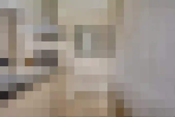 Lagunesingel 86 Beuningen Gld thumbnail 23