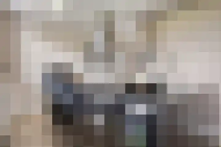 Lagunesingel 86 Beuningen Gld thumbnail 24