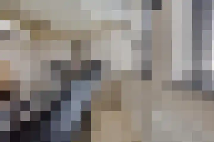 Lagunesingel 86 Beuningen Gld thumbnail 25