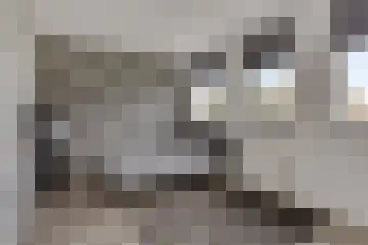 Lagunesingel 86 Beuningen Gld thumbnail 34