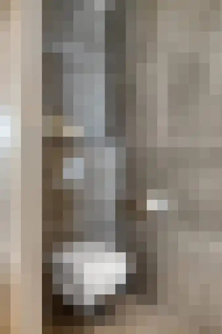 Lagunesingel 86 Beuningen Gld thumbnail 38