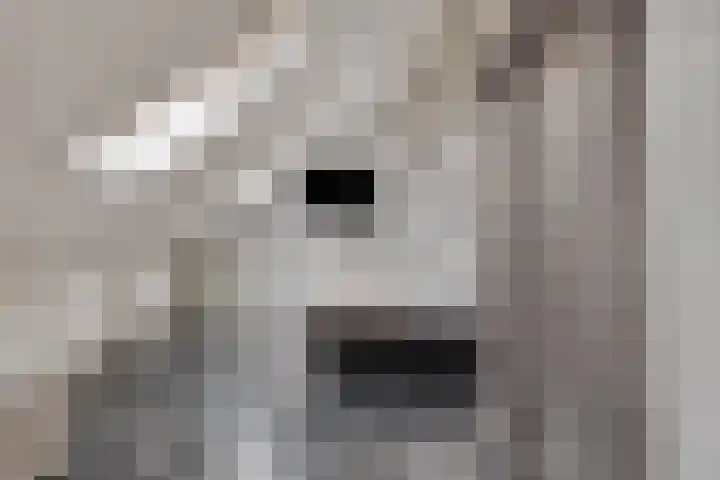Lagunesingel 86 Beuningen Gld thumbnail 42