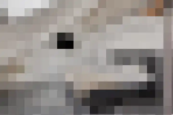 Lagunesingel 86 Beuningen Gld thumbnail 43