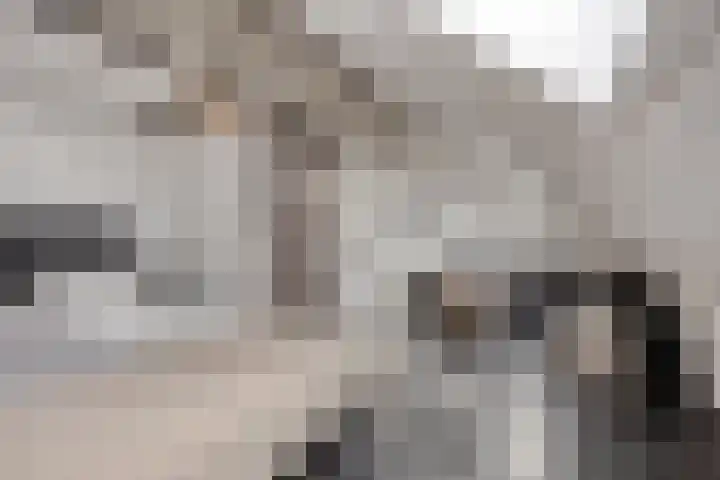 Lagunesingel 86 Beuningen Gld thumbnail 44