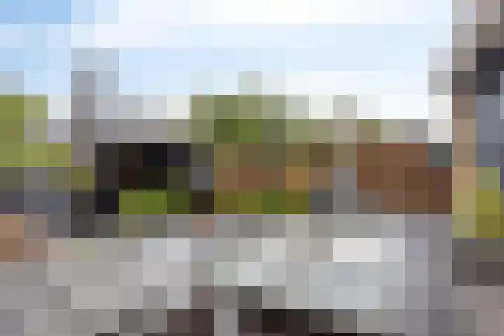 Lagunesingel 86 Beuningen Gld thumbnail 47