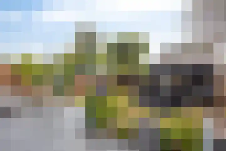 Lagunesingel 86 Beuningen Gld thumbnail 48