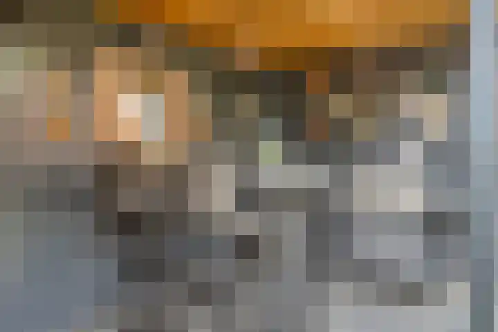 Lagunesingel 86 Beuningen Gld thumbnail 49