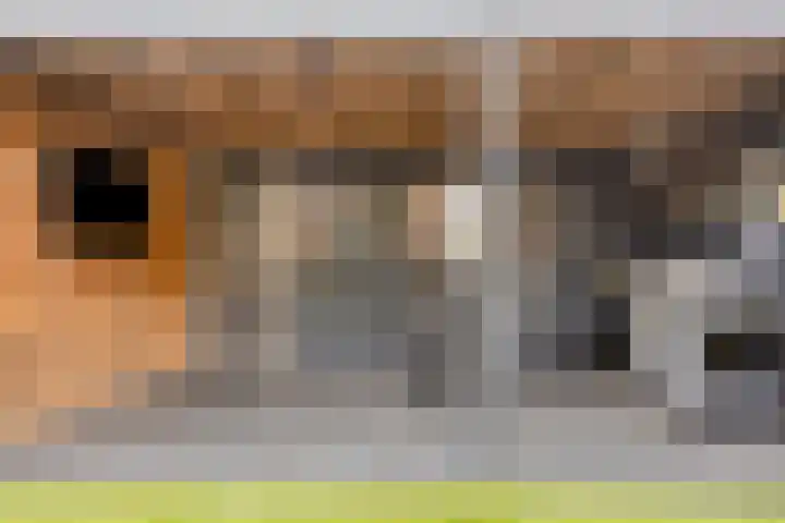 Lagunesingel 86 Beuningen Gld thumbnail 50